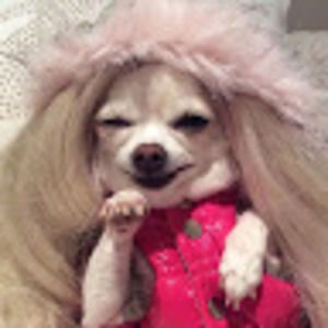 Meet your Posher, Ricky